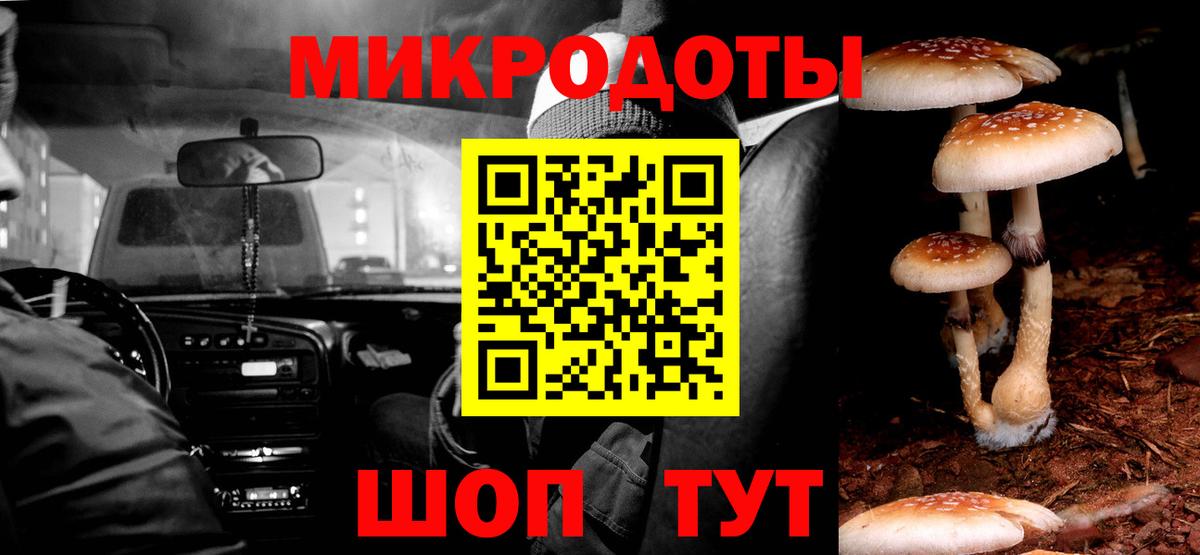 закладка  Галлюциногенные грибы GOLDEN TEACHER  Вход с VPN  Псилоцибиновые грибы MAGIC MUSHROOMS  Светлоград 